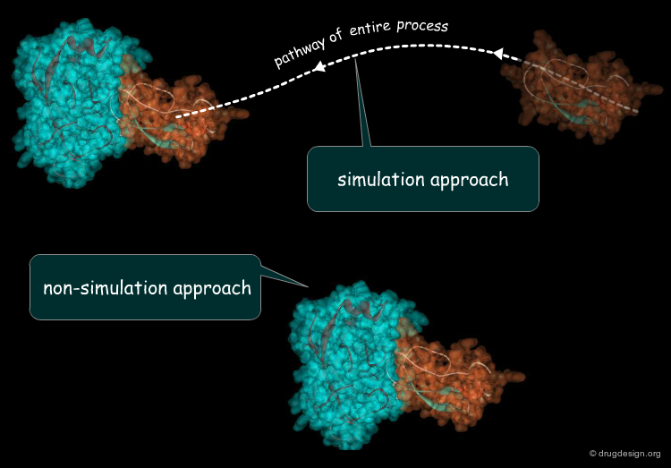 Molecular Docking and Structural Biology